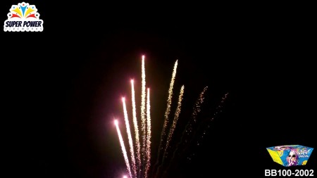 BB100-2002_SILENT CARNIVAL_SuperPower.jpg