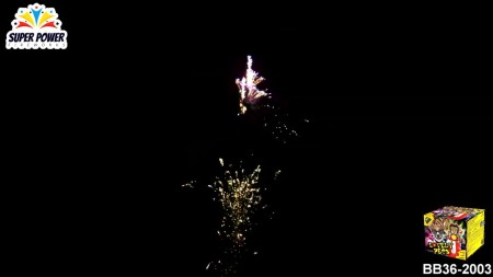 BB36-2003_LOVEKY PETS_SuperPower.jpg